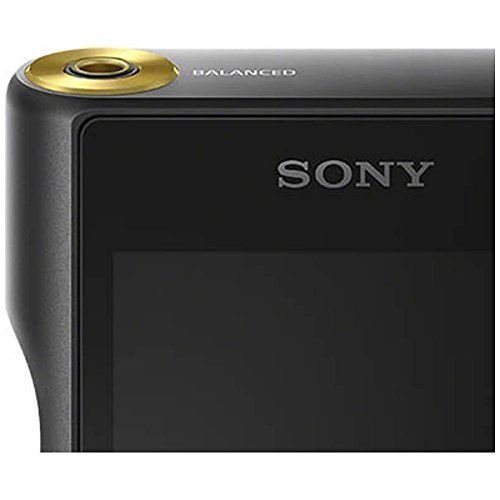 SONY NW-WM1A 試聴レビュー 高級ウォークマンの実力 | うけみ的趣味